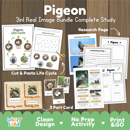 Pigeon 3-in-1 real image bundle complete study cover showing cut and paste life cycle, 3 part cards, and research pages