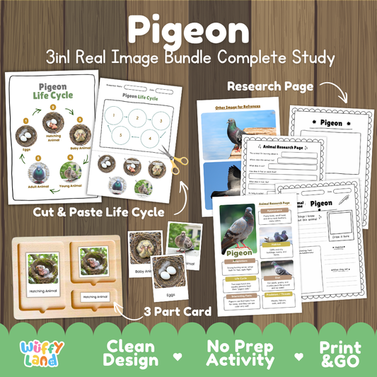 Pigeon 3-in-1 real image bundle complete study cover showing cut and paste life cycle, 3 part cards, and research pages