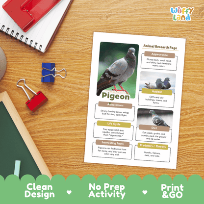A printed animal research page about pigeons is laid on a wooden desk with school supplies around it. The page includes a large pigeon photo, labeled sections for appearance, habitat, adaptations, life cycle, diet, interesting facts, and predators, plus the Wiffly Land logo in the top right corner.