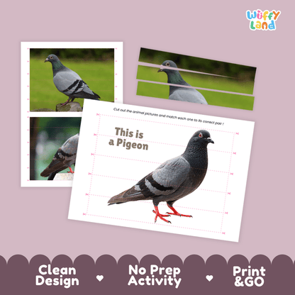 Pigeon Cut and Match Activity Worksheets | Bird Puzzle Printables