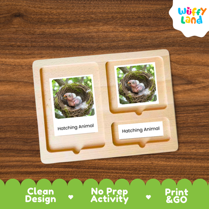 A wooden Montessori-style activity tray labeled 'Hatching Animal' with two photo slots showing chicks in nests, placed on a wood surface. A 'Wuffy Land' logo appears in the top right, and a green banner at the bottom reads 'Clean Design', 'No Prep Activity', and 'Print & GO'.