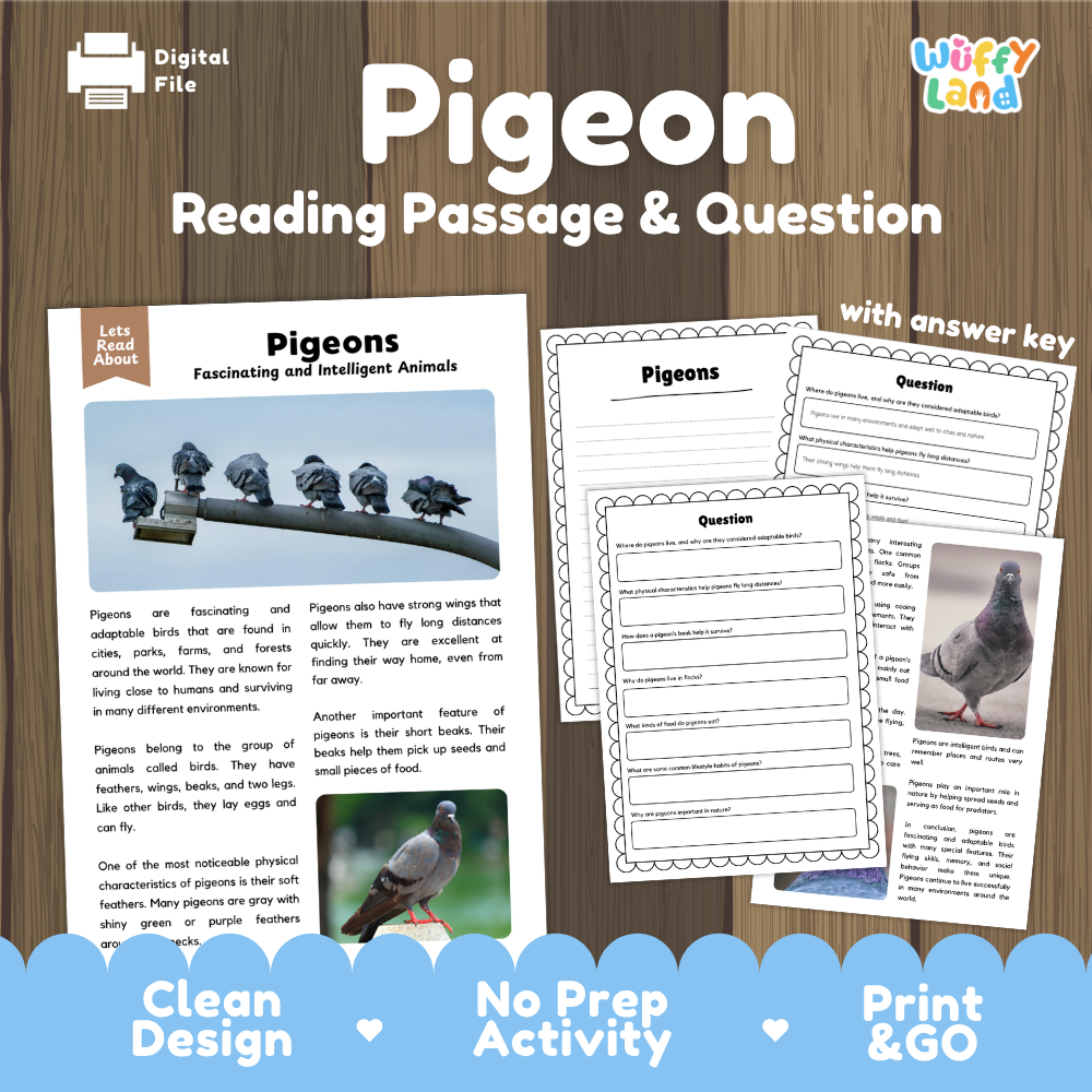 Digital reading activity sheet set titled 'Pigeon Reading Passage & Question' by Wiffly Land, shown on a wood background with printed worksheet previews, answer key, and promotional text.