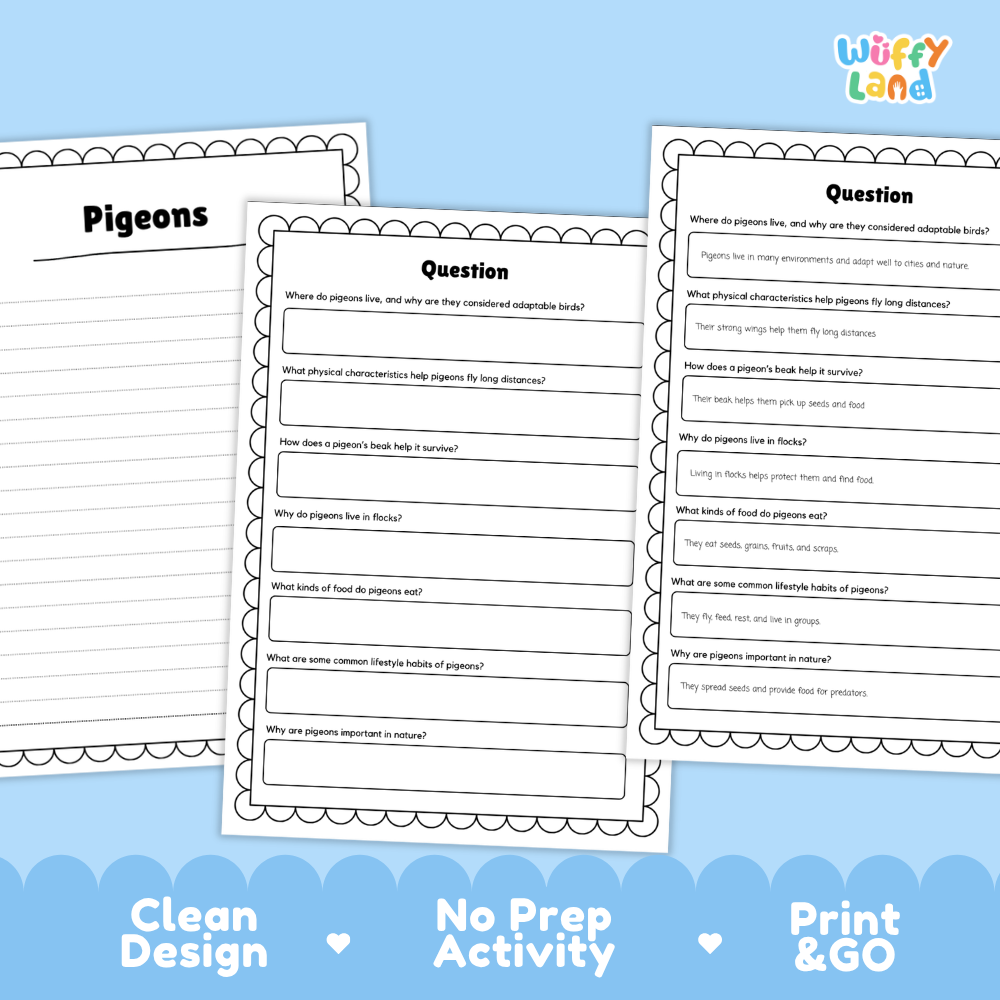 Three printable educational activity sheets for a pigeon science unit, displayed on a light blue background with the brand name 'Wiffly Land' in the top right corner. The sheets feature black text and line art on white paper with scalloped borders.