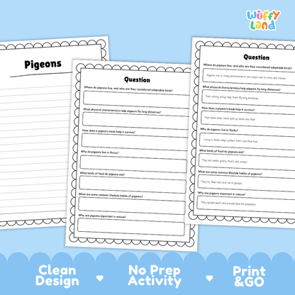 Three printable educational activity sheets for a pigeon science unit, displayed on a light blue background with the brand name 'Wiffly Land' in the top right corner. The sheets feature black text and line art on white paper with scalloped borders.