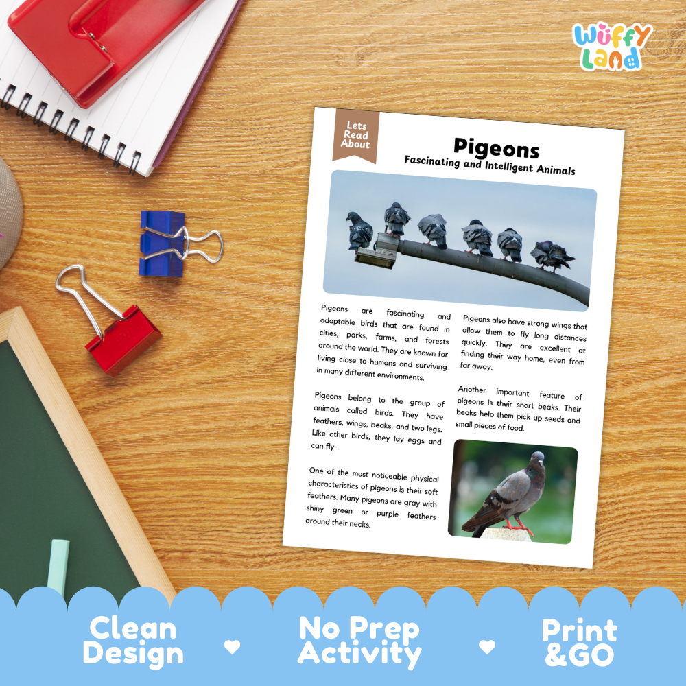 Pigeon Reading Passage and Comprehension Questions Worksheets with Answer Key