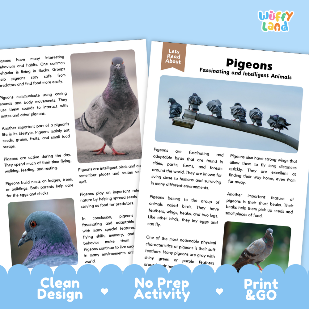 Pigeon Reading Passage and Comprehension Questions Worksheets with Answer Key
