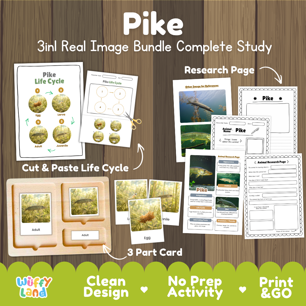 Pike 3-in-1 real image bundle complete study cover showing cut and paste life cycle, 3 part cards, and research pages   