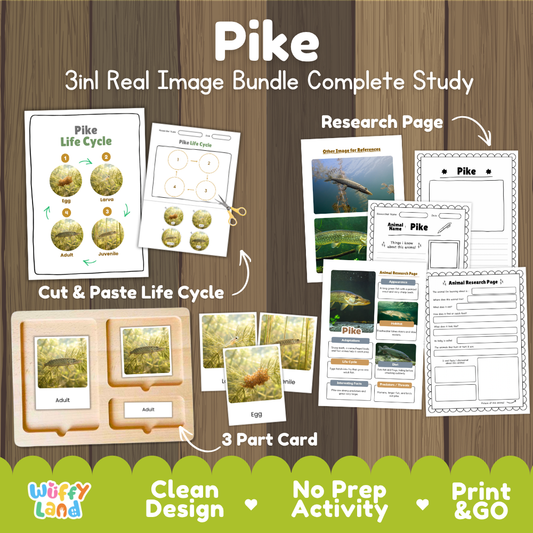 Pike 3-in-1 real image bundle complete study cover showing cut and paste life cycle, 3 part cards, and research pages   
