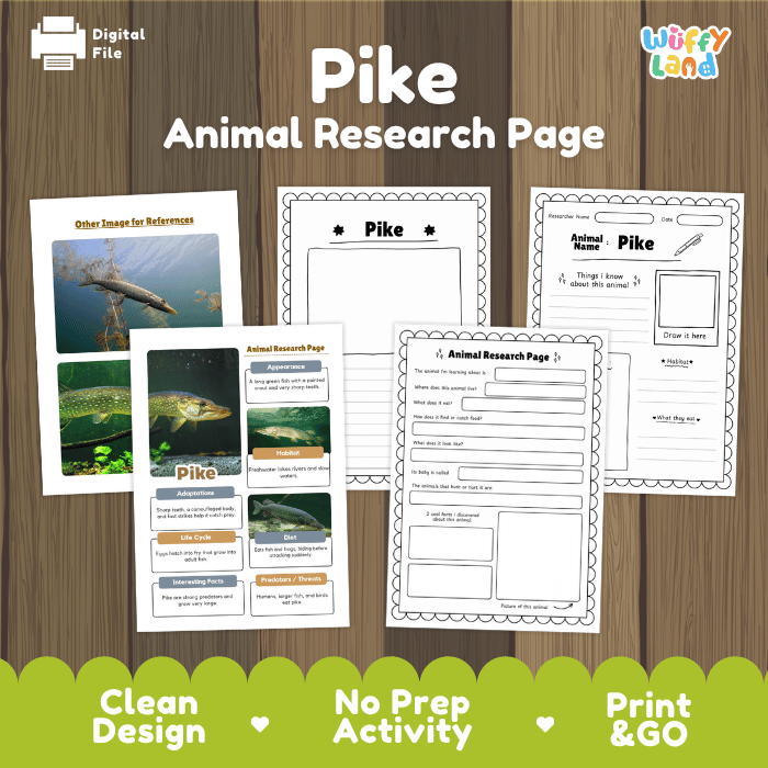 Pike Animal Research Worksheets and Informational Fact Sheets