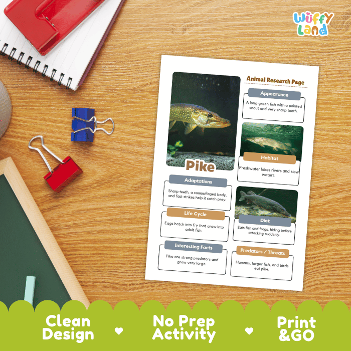 Pike Animal Research Worksheets and Informational Fact Sheets