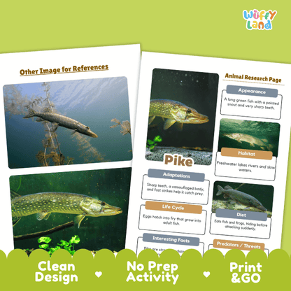 Pike Animal Research Worksheets and Informational Fact Sheets