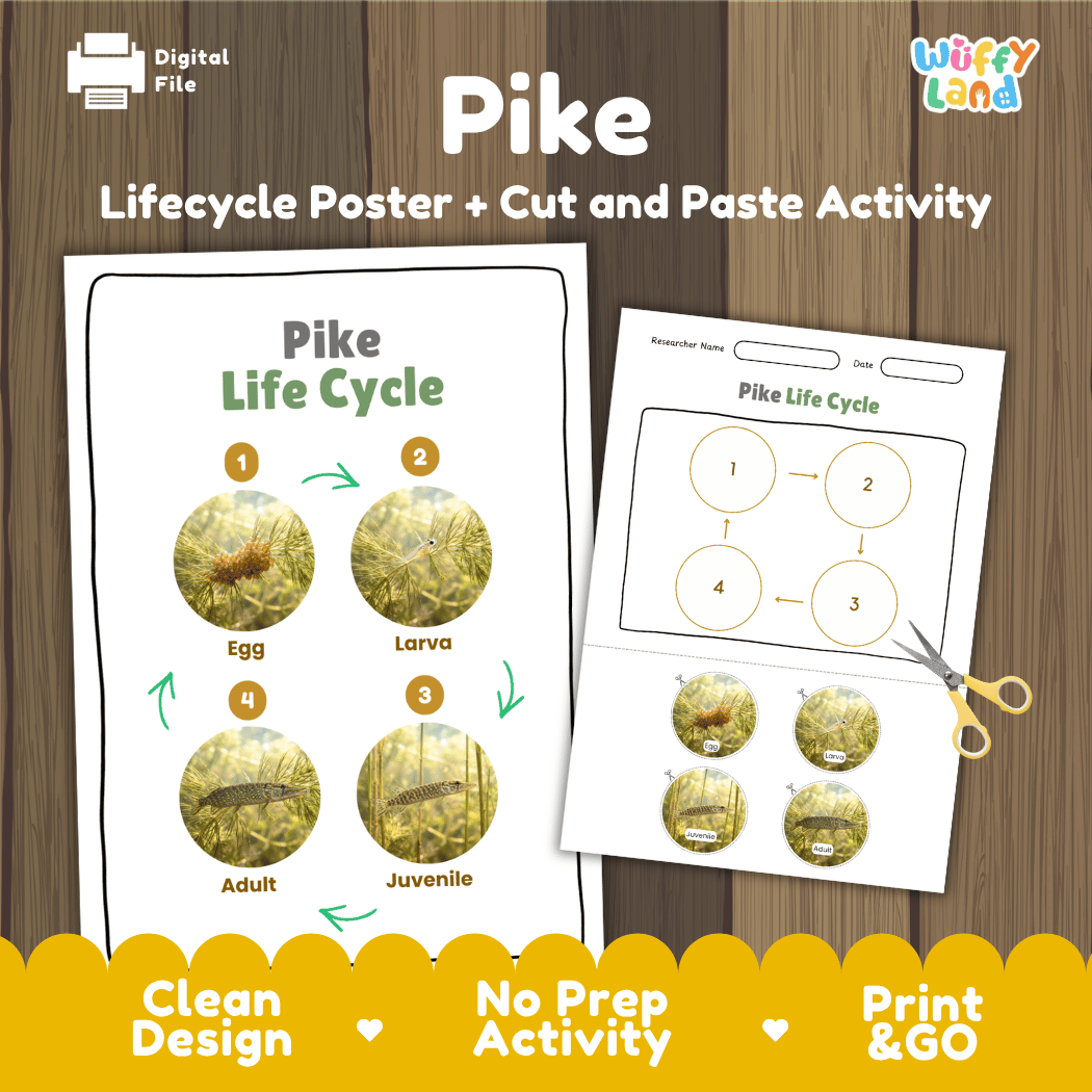 Pike Life Cycle Poster and Cut and Paste Worksheet Activity