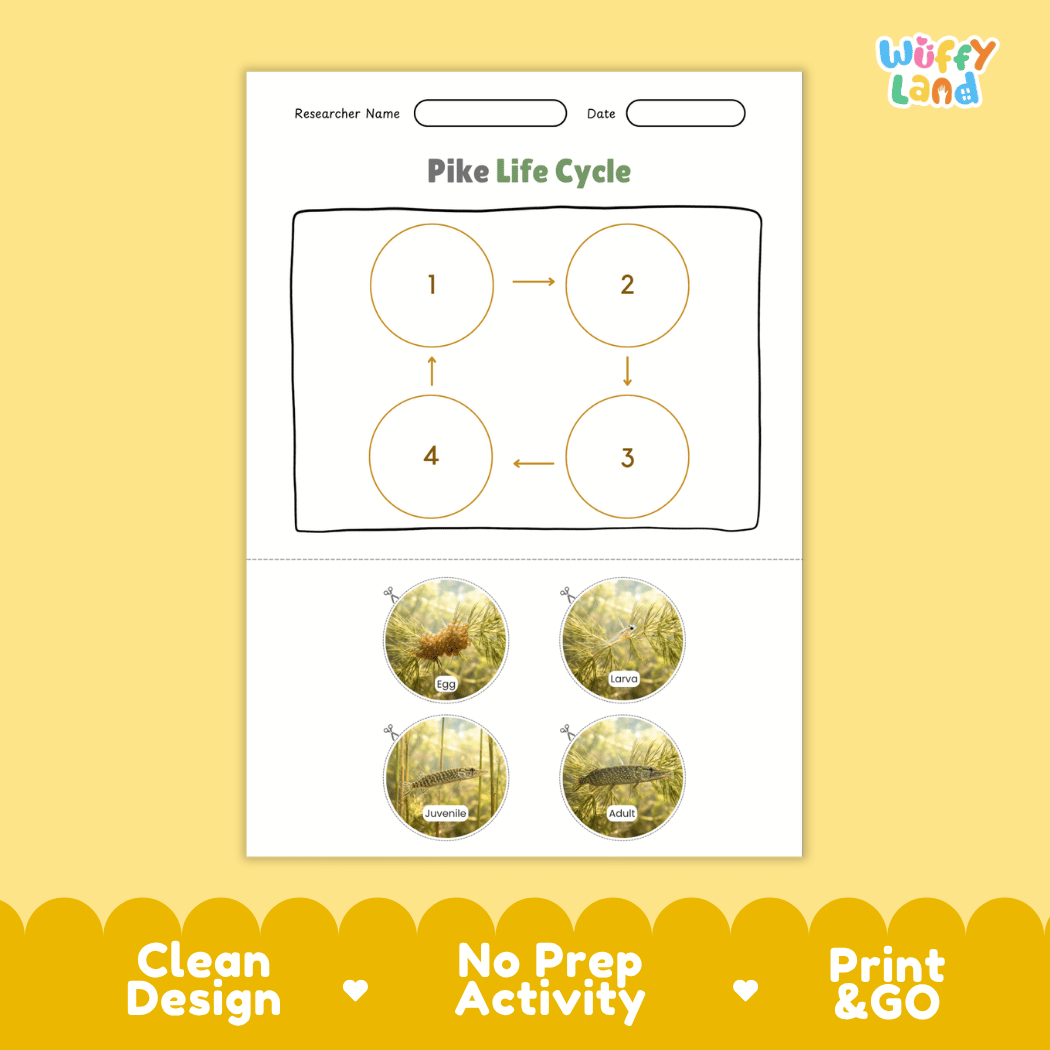 Pike Life Cycle Poster and Cut and Paste Worksheet Activity