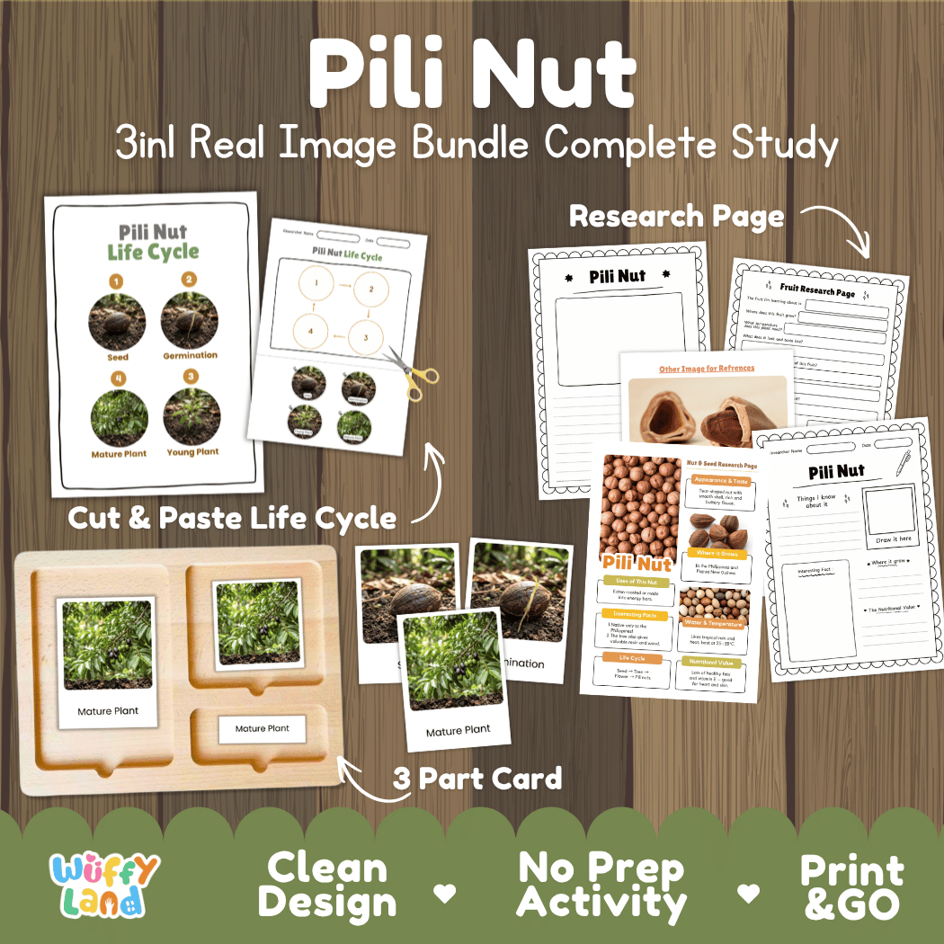 Complete Pili Nut 3-in-1 real image study bundle featuring cut and paste worksheets, Montessori 3-part cards, and research pages 🌰🌱