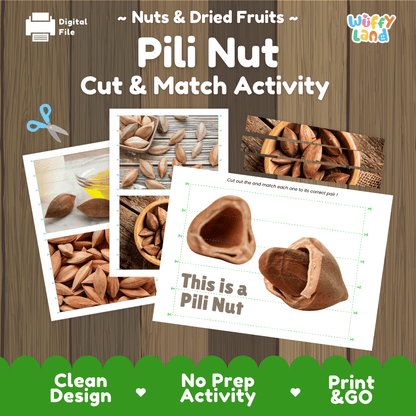 Pili Nut Cut and Match Activity Worksheets | Nuts and Dried Fruits Puzzle Printables