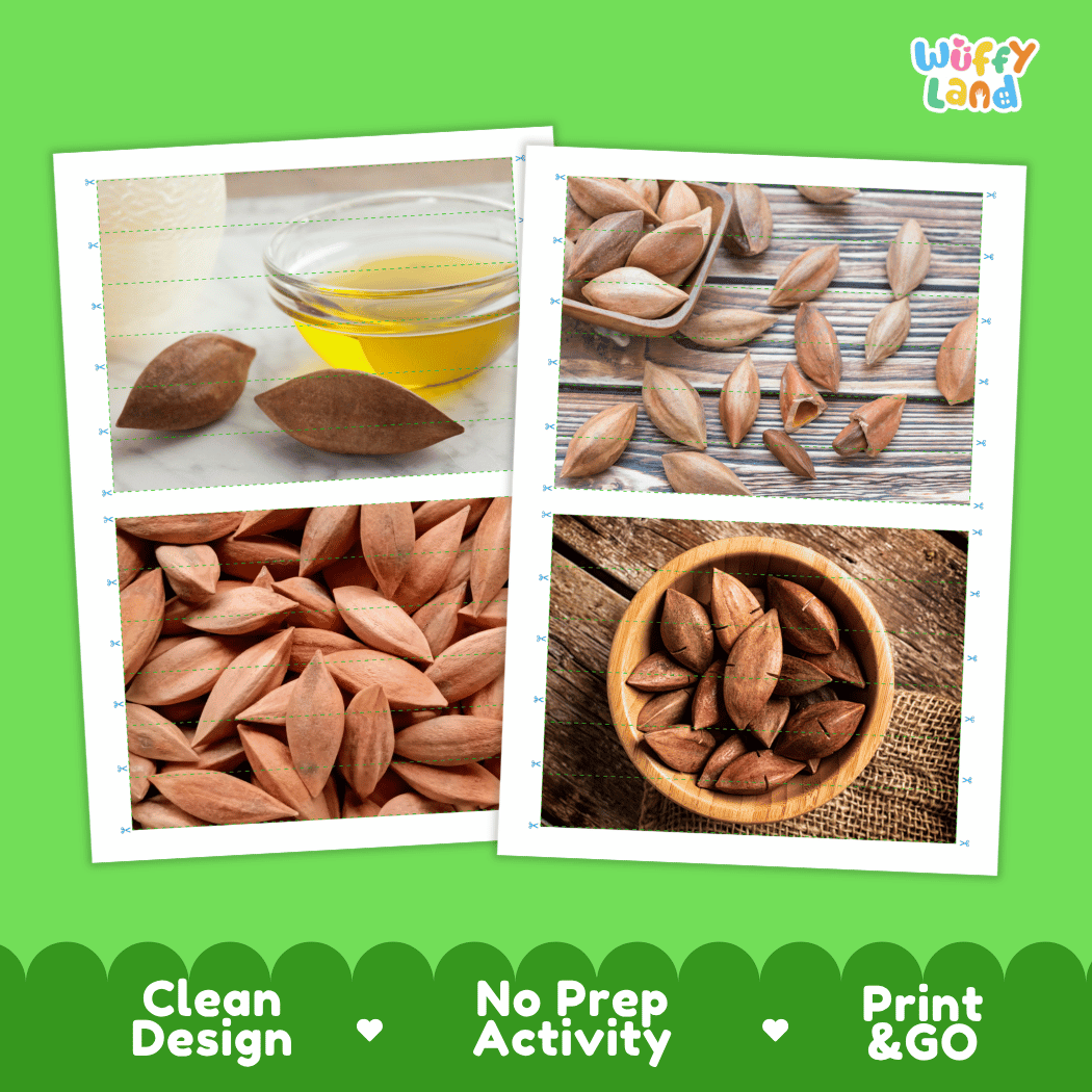 Pili Nut Cut and Match Activity Worksheets | Nuts and Dried Fruits Puzzle Printables