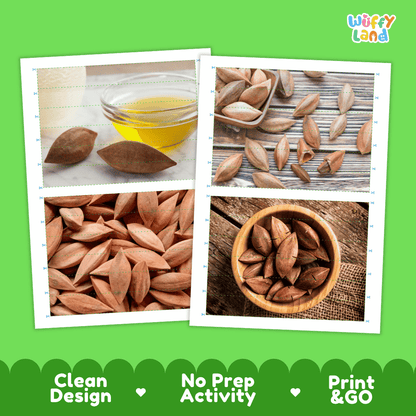 Pili Nut Cut and Match Activity Worksheets | Nuts and Dried Fruits Puzzle Printables