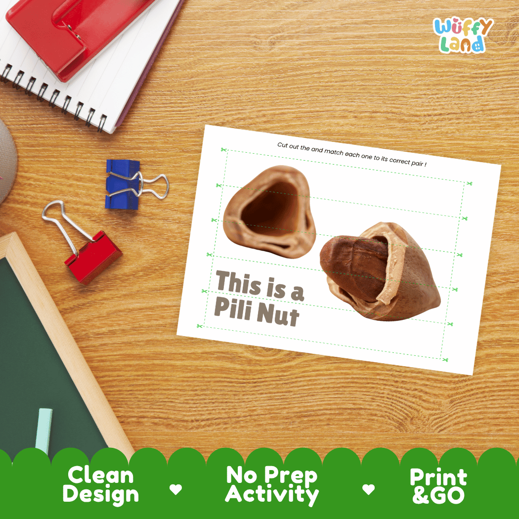 Pili Nut Cut and Match Activity Worksheets | Nuts and Dried Fruits Puzzle Printables