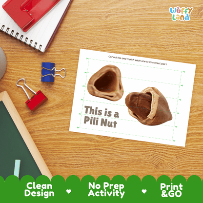 Pili Nut Cut and Match Activity Worksheets | Nuts and Dried Fruits Puzzle Printables