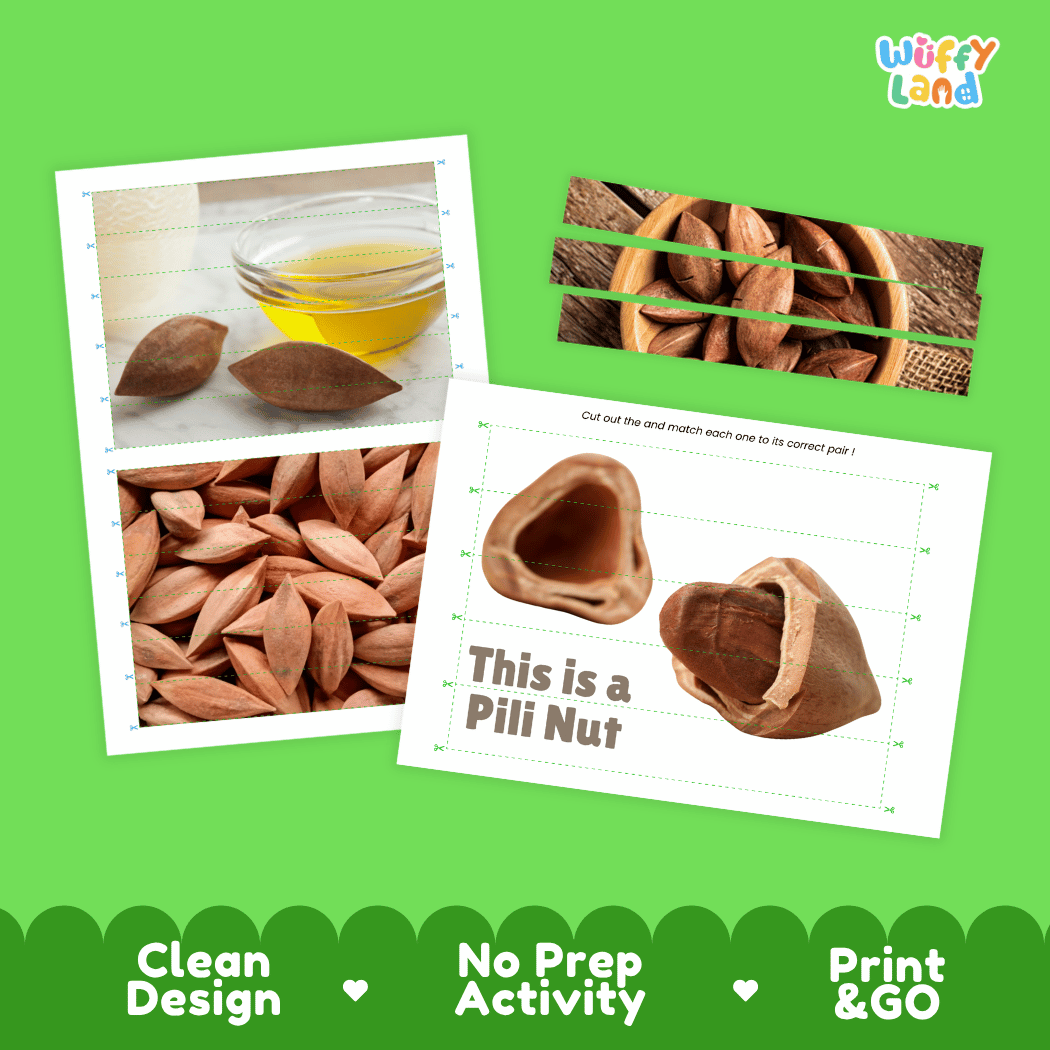 Pili Nut Cut and Match Activity Worksheets | Nuts and Dried Fruits Puzzle Printables