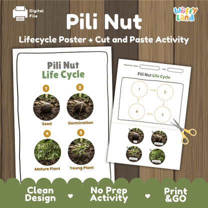 Pili Nut Life Cycle Poster and Cut and Paste Activity Worksheets