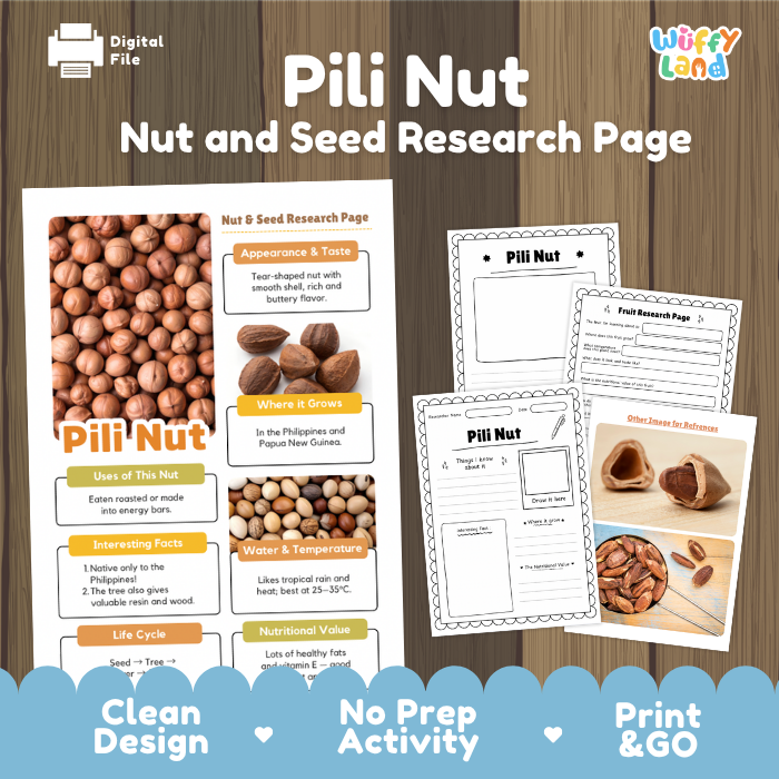 A digital printable educational poster about the pili nut, shown with several page previews on a wood-textured background. The main page features photos of brown pili nuts, labeled sections for appearance and taste, where it grows, uses, water and temperature, life cycle, and conservation value.