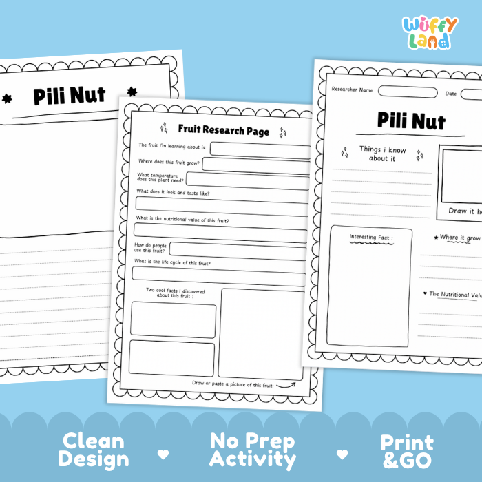 Three printable educational worksheet pages about pili nuts arranged on a light blue background with decorative text reading 'Clean Design', 'No Prep Activity', and 'Print & GO'. The pages are mostly white with black text and border lines, and the brand name 'Wiffy Land' appears in the top right.