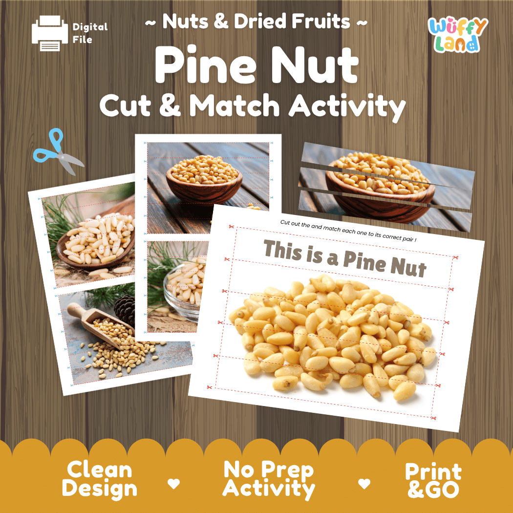 Pine Nut Cut and Match Activity Worksheets | Nuts and Dried Fruits Puzzle Printables