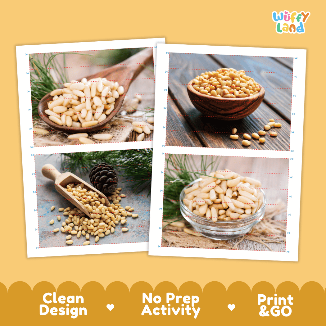 Pine Nut Cut and Match Activity Worksheets | Nuts and Dried Fruits Puzzle Printables
