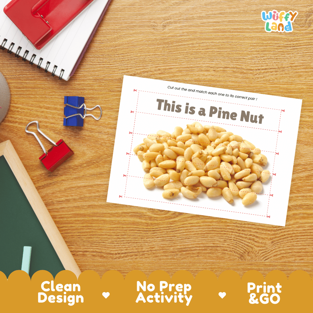 Pine Nut Cut and Match Activity Worksheets | Nuts and Dried Fruits Puzzle Printables