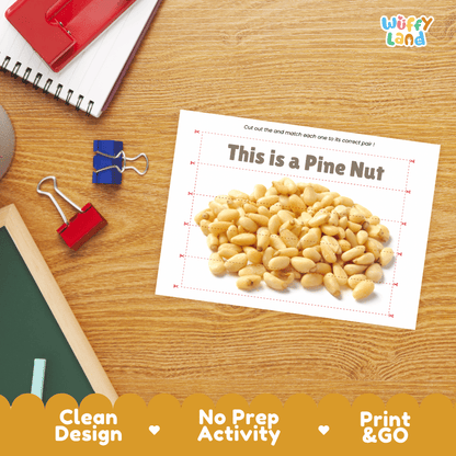 Pine Nut Cut and Match Activity Worksheets | Nuts and Dried Fruits Puzzle Printables