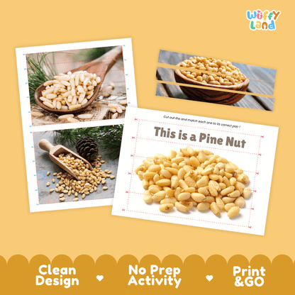 Pine Nut Cut and Match Activity Worksheets | Nuts and Dried Fruits Puzzle Printables