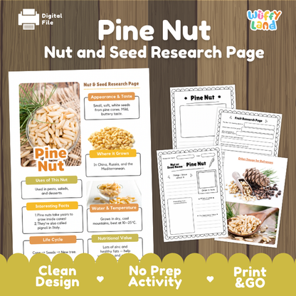 Pine Nut Nut and Seed Research Page Worksheets