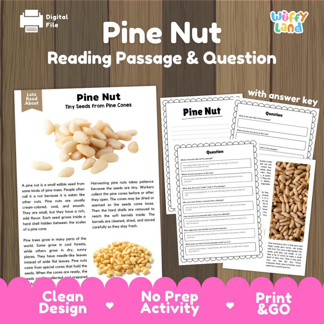 Pine Nut Reading Passage and Comprehension Questions with Answer Key Worksheets