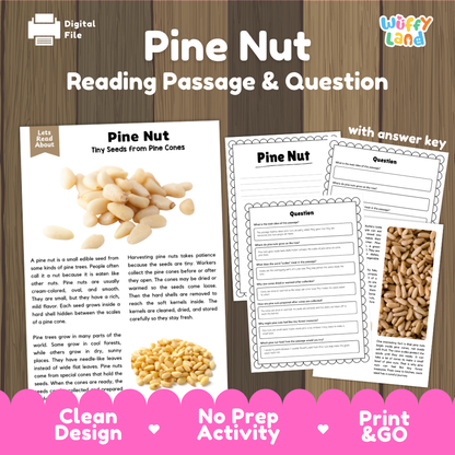 Pine Nut Reading Passage and Comprehension Questions with Answer Key Worksheets