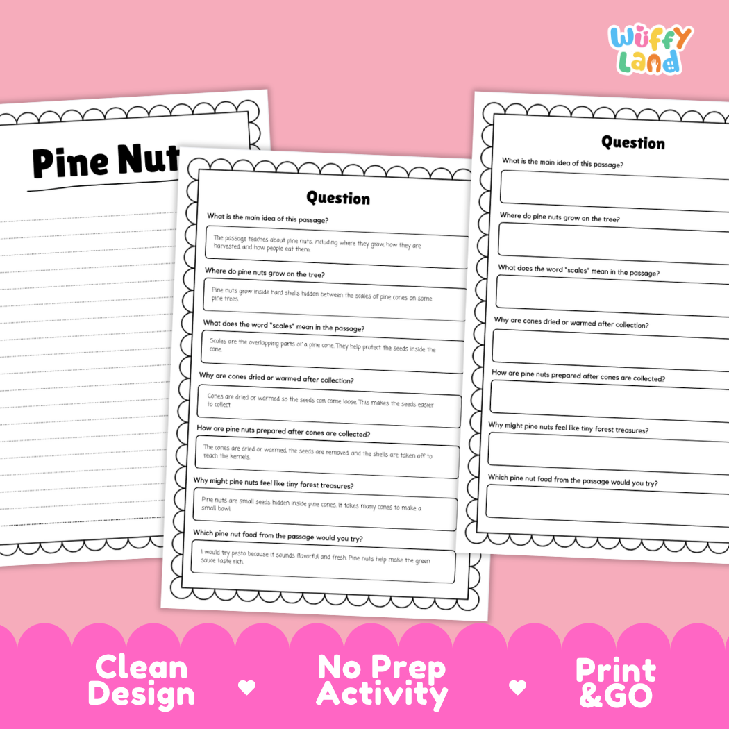Pine Nut Reading Passage and Comprehension Questions with Answer Key Worksheets
