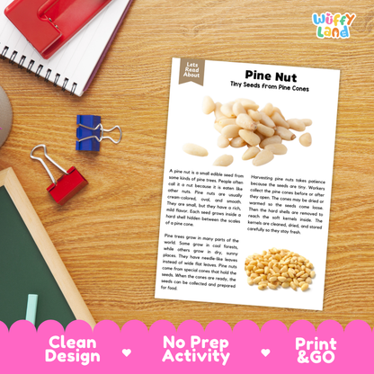 Pine Nut Reading Passage and Comprehension Questions with Answer Key Worksheets
