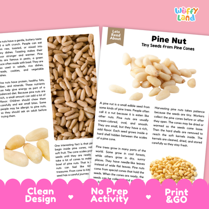 Pine Nut Reading Passage and Comprehension Questions with Answer Key Worksheets