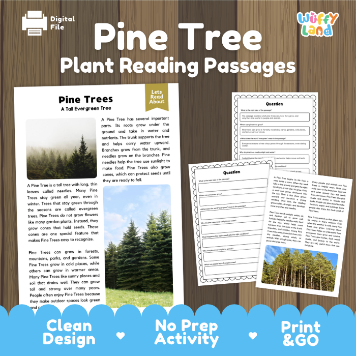 Pine Tree Plant Reading Passages and Comprehension Questions Worksheets
