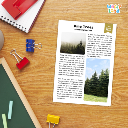 Pine Tree Plant Reading Passages and Comprehension Questions Worksheets
