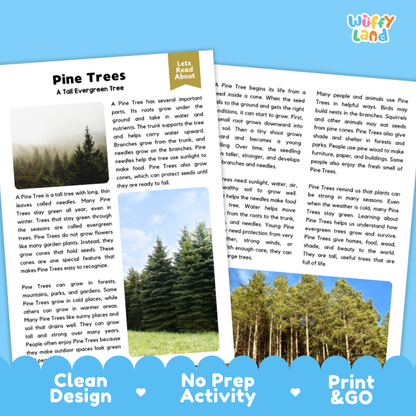 Pine Tree Plant Reading Passages and Comprehension Questions Worksheets