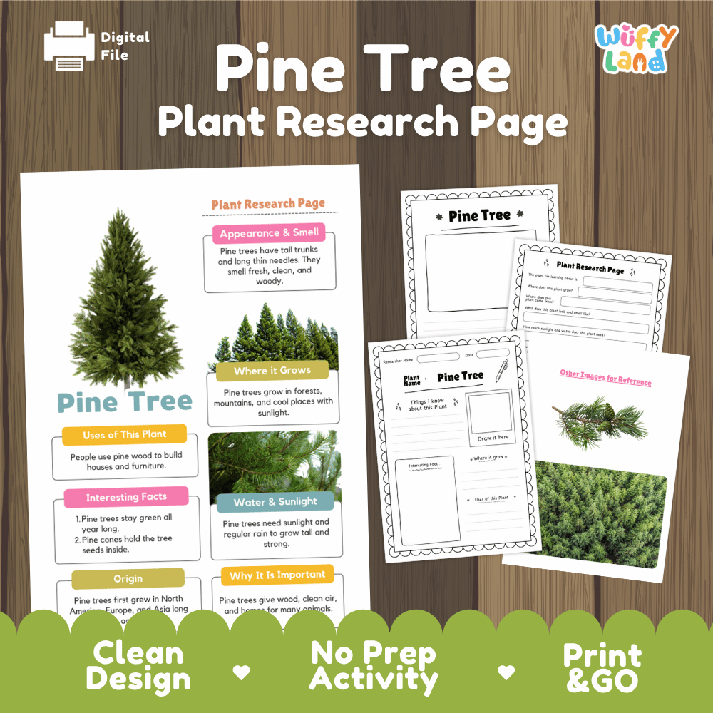 Pine Tree Plant Research Page and Worksheets Print and Go Activity