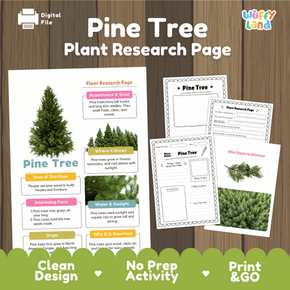 Pine Tree Plant Research Page and Worksheets Print and Go Activity