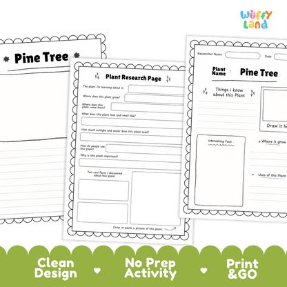 Pine Tree Plant Research Page and Worksheets Print and Go Activity