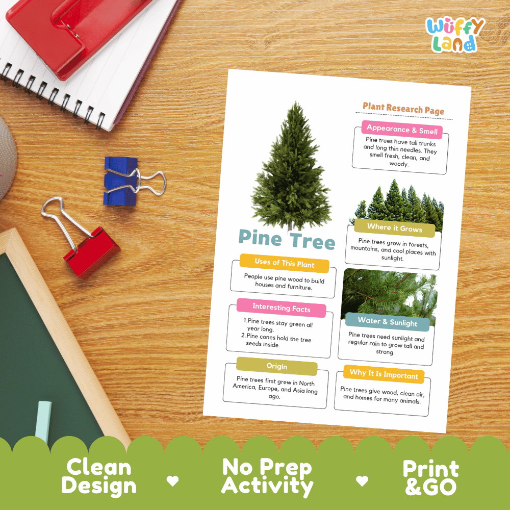 Pine Tree Plant Research Page and Worksheets Print and Go Activity