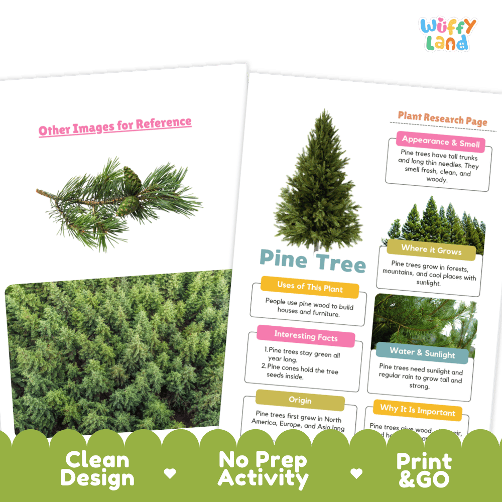 Pine Tree Plant Research Page and Worksheets Print and Go Activity