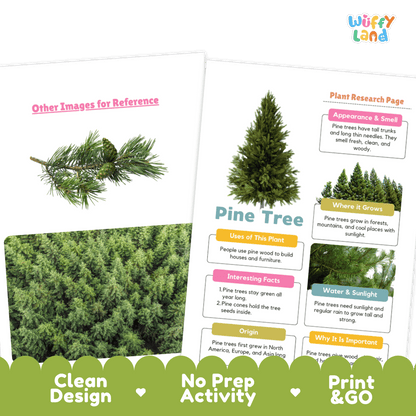Pine Tree Plant Research Page and Worksheets Print and Go Activity