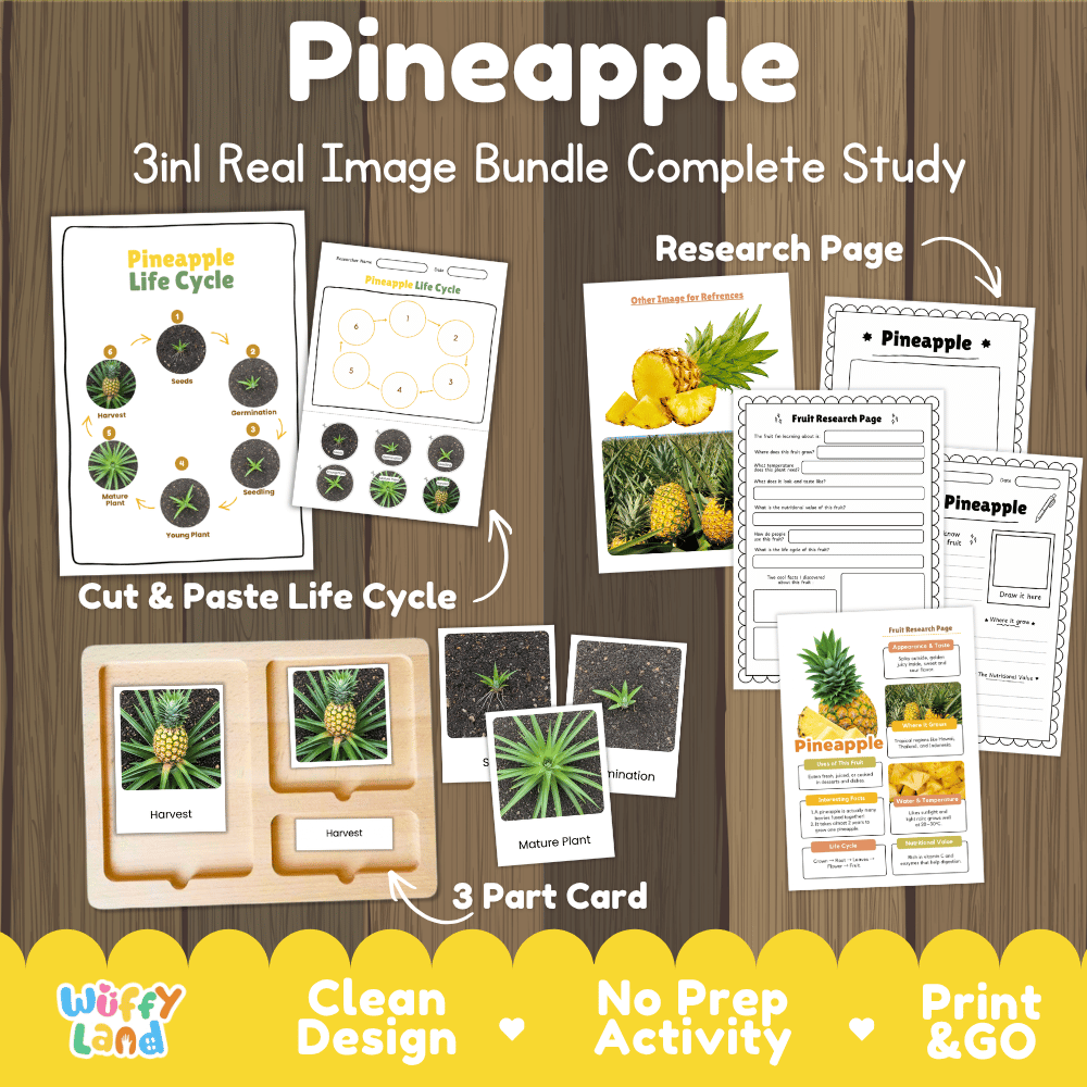 Pineapple plant life cycle 3in1 real image bundle complete study overview featuring cut and paste worksheets, Montessori 3-part cards, and research pages from Wuffy Land 🍍🌱