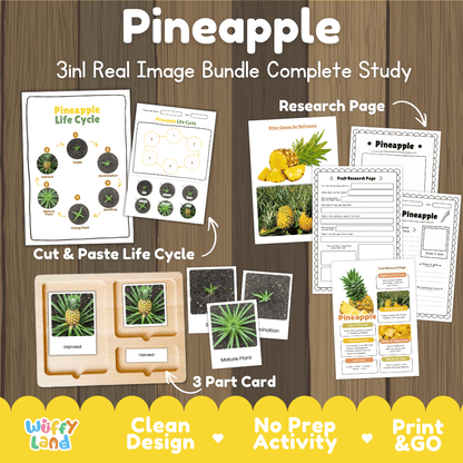 Pineapple plant life cycle 3in1 real image bundle complete study overview featuring cut and paste worksheets, Montessori 3-part cards, and research pages from Wuffy Land 🍍🌱