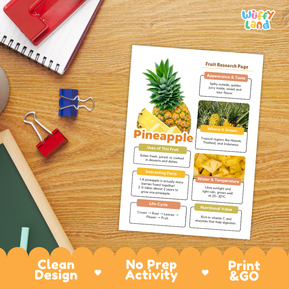 A printed pineapple fruit research activity sheet laid on a wooden desk, surrounded by school supplies including a spiral notebook, binder clips, a pencil, and a red folder. The sheet has colorful text boxes, a pineapple photo, and a yellow 'Wiffly Land' logo.
